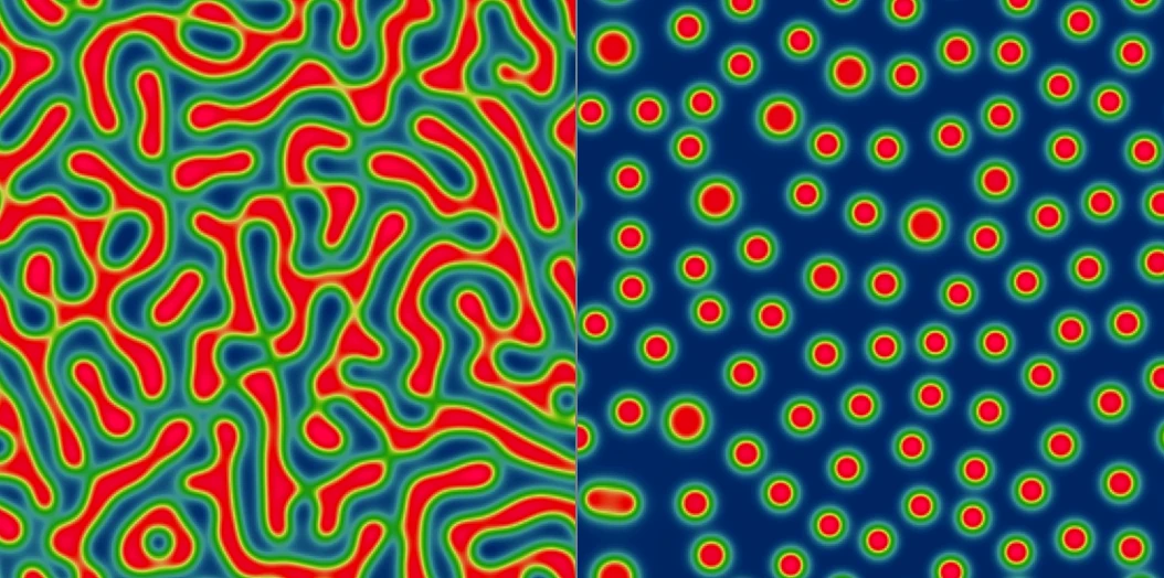 Cahn-Hilliard phase-field simulations showing interconnected regions from spinodal decomposition on the left and isolated droplets on the right